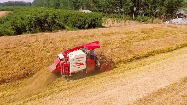 首页- 新宝GG集团创造事业平台