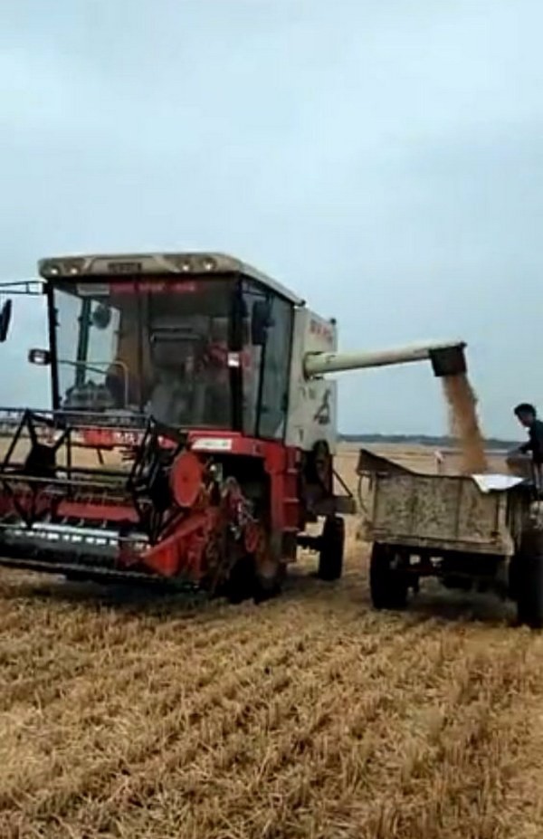 c872d12c493a4d3aa629fc3a0b7458ad