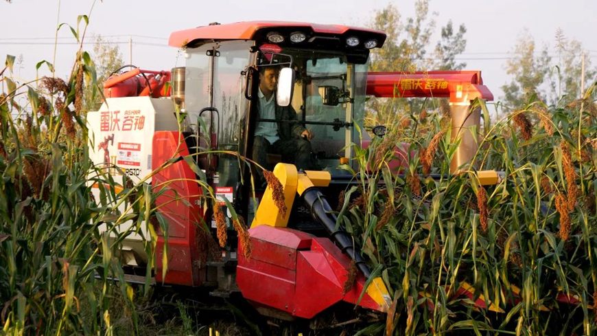 首页- 新宝GG集团创造事业平台