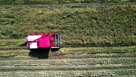 首页- 新宝GG集团创造事业平台