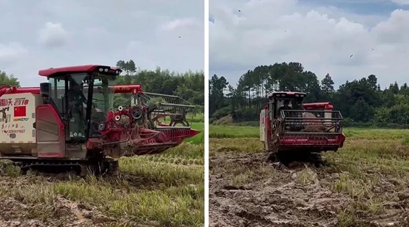 d9a92fcb0c994e8d8ff48ecf5e859a64