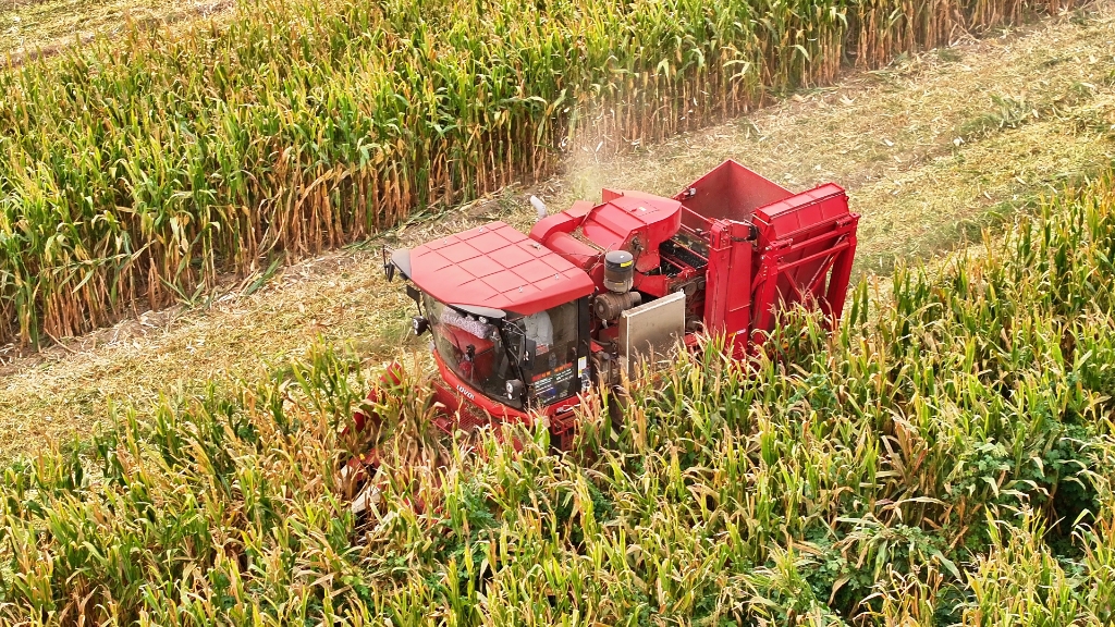 dfe35d9d18ec452a91352ca92885dacf